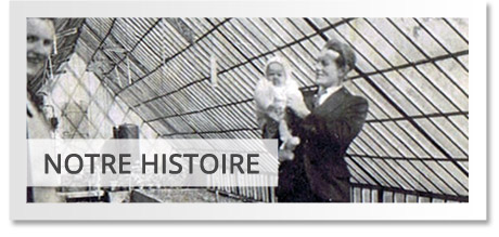 Notre_histoire